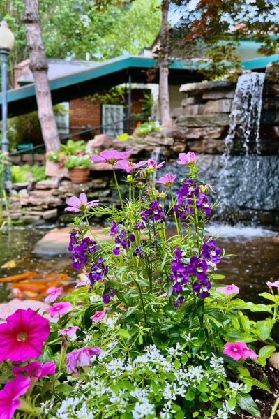 McGurks Patio Garden and Koi Pond